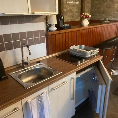 בית נופש Janik *