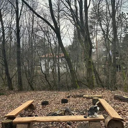 Dom wakacyjny Janik Duchonka