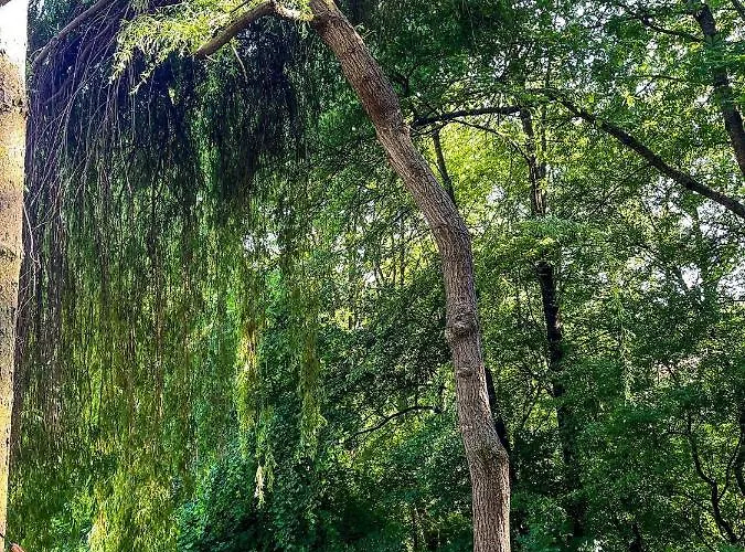 Janik Σπίτι διακοπών Duchonka